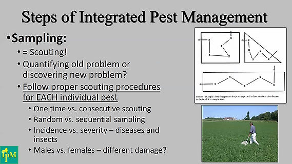Integrated Pest Management- Cummings
